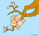 Dibujo Flor de almendro pintado por lilytha