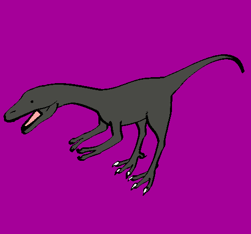 Velociraptor II