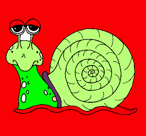 Caracol