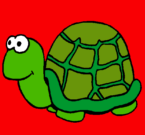 Tortuga