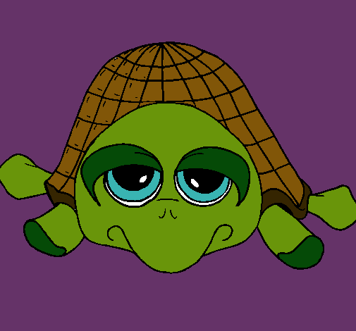 Tortuga