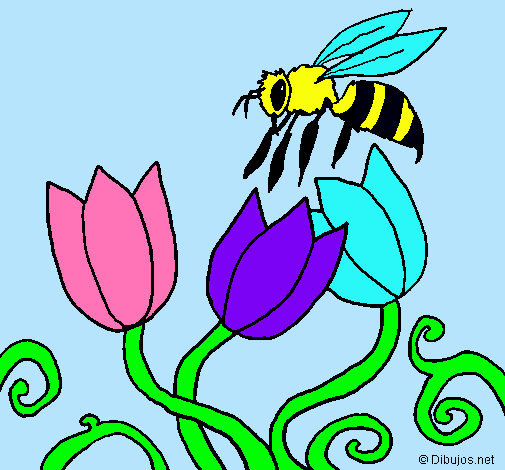 Abeja