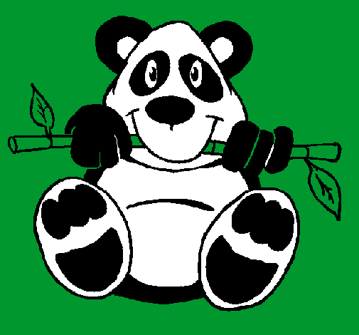 Oso panda