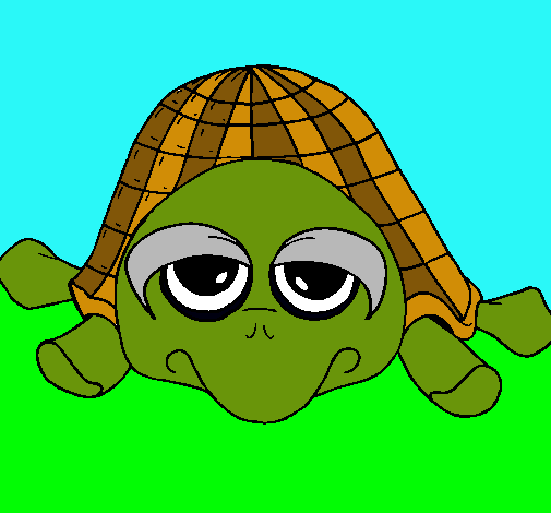 Tortuga