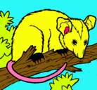 Dibujo Ardilla possum pintado por titi