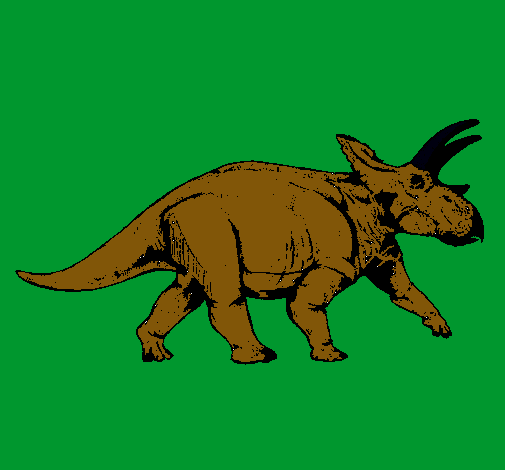 Triceratops