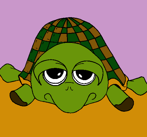 Tortuga