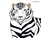 Dibujo Tigre pintado por vlad