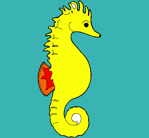 Caballito de mar