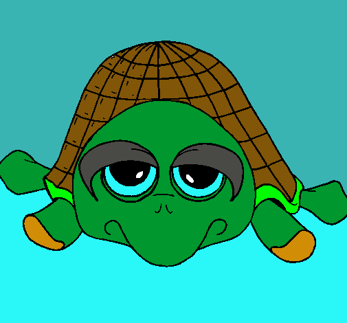 Tortuga