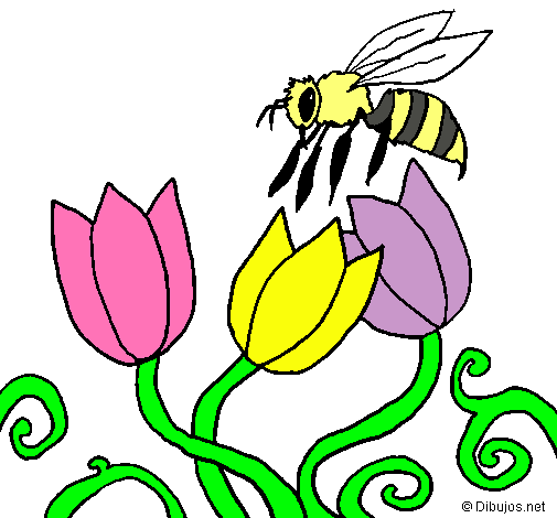 Abeja