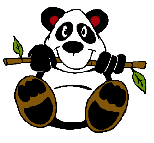 Oso panda