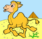 Dibujo Camello pintado por paty