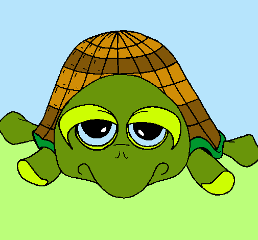 Tortuga