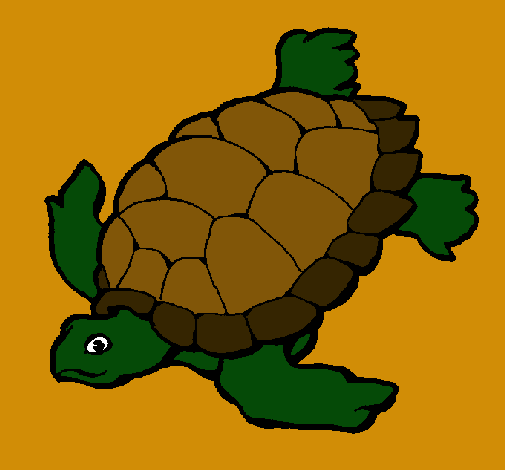 Tortuga