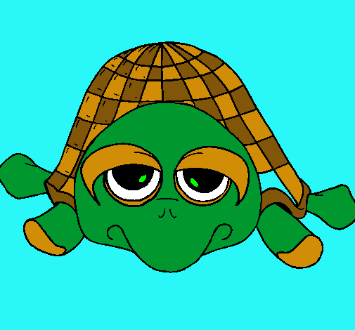 Tortuga