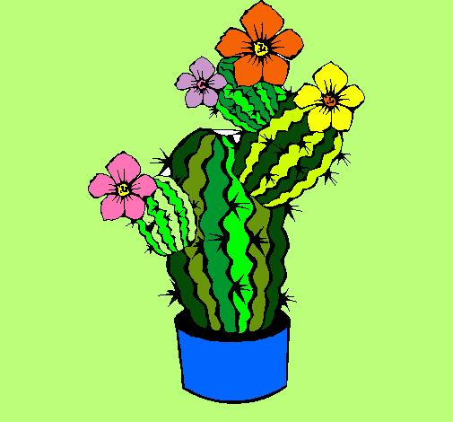 Flores de cactus