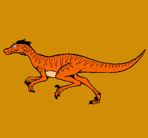 Velociraptor