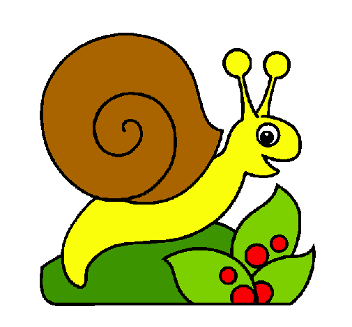 Caracol