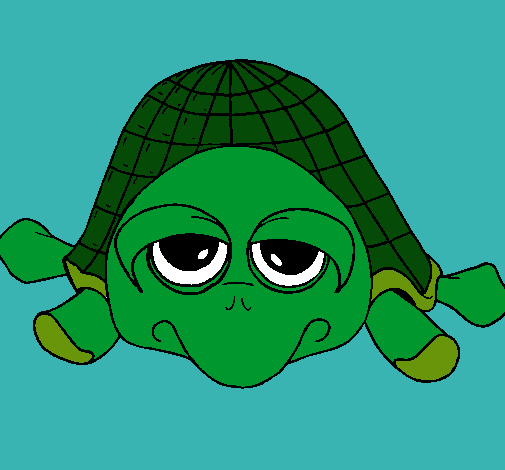 Tortuga