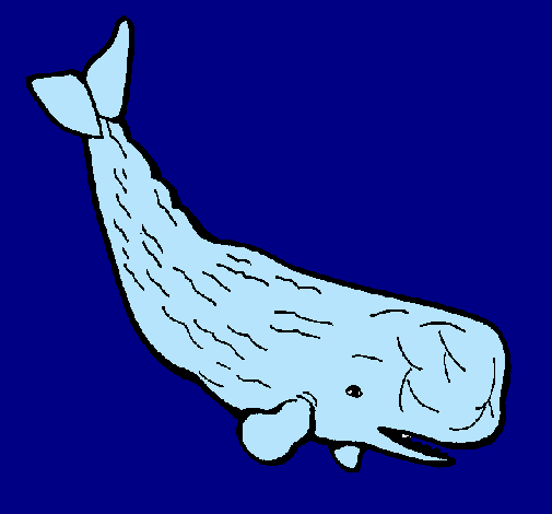 Ballena grande