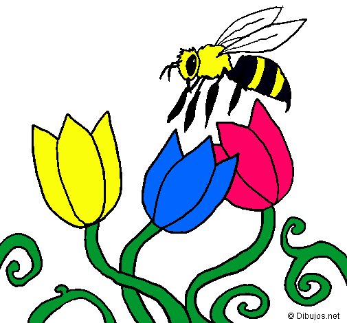 Abeja