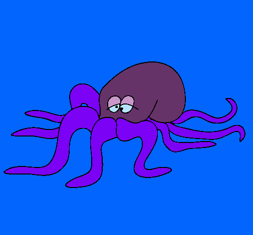 Pulpo