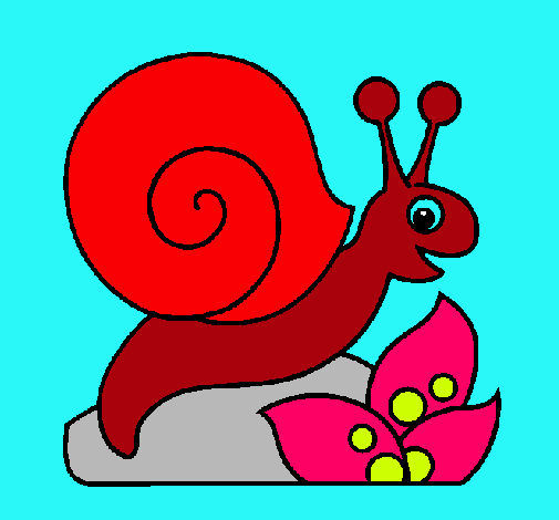 Caracol