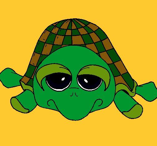 Tortuga