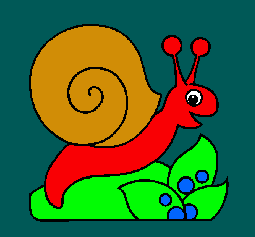 Caracol