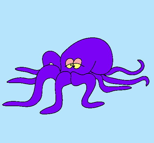 Pulpo