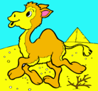 Dibujo Camello pintado por ainhoa