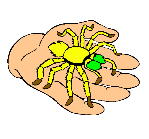 Tarántula