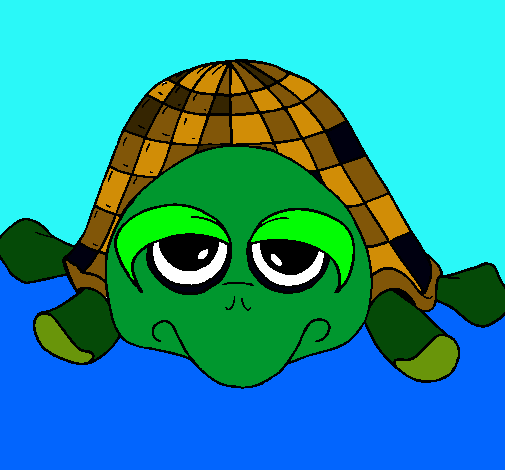 Tortuga