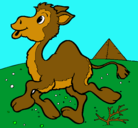 Dibujo Camello pintado por wilson