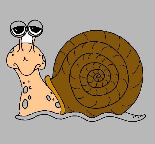 Caracol