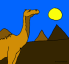 Dibujo Camello pintado por andreita