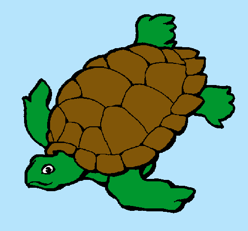 Tortuga