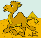Dibujo Camello pintado por monii