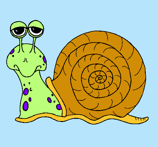 Caracol