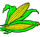 Dibujo Mazorca de maíz pintado por alex