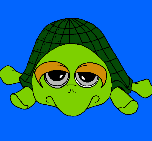 Tortuga