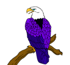 Dibujo Águila en una rama pintado por Alex