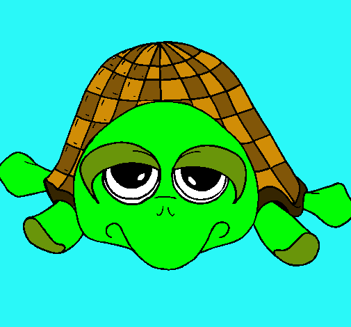 Tortuga