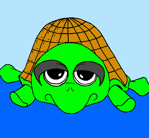 Tortuga