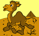 Dibujo Camello pintado por nicoll