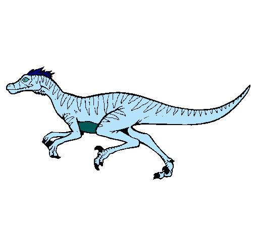 Velociraptor