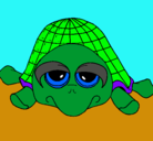 Dibujo Tortuga pintado por TURTY