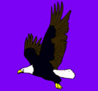 Dibujo Águila volando pintado por maTIAS