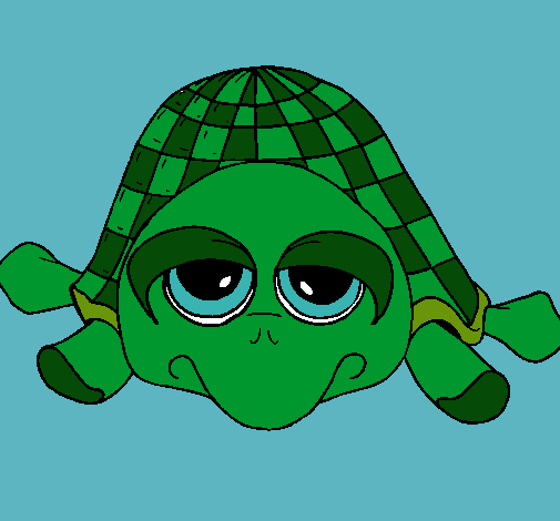 Tortuga